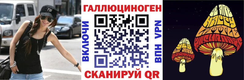 Галлюциногенные грибы Psilocybe  Невель 